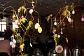 20150322 frans versteden fotografie - tilburginbeeld FRVE0828